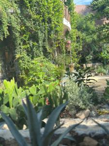 Casa Jasmin Bed & Breakfast