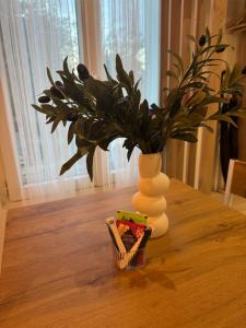 Studio moderne et équipé