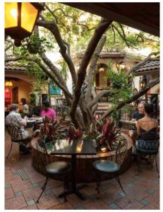 Free Gated Parking | Apartment in Old East Dallas