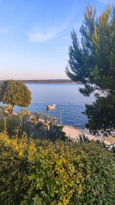 Apartman Diva Maslenica