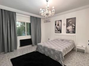 Spacious & aesthetic pool villa