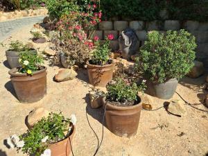 Large room in quiet north facing suburb