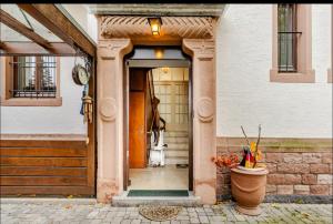 Worms City Apartment