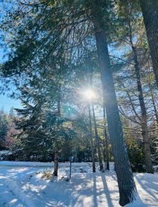 Chalet -Havre au bord de leau