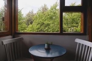 El Mononoambiente de Bariloche, con vista al lago