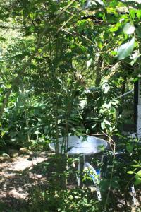 al alba jardin hotel choachi booking