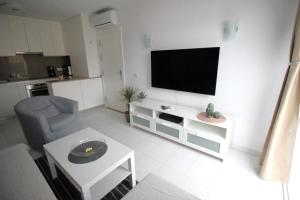 Terrasol con Cactus Monsenor