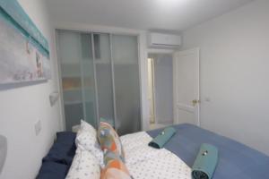 Terrasol con Cactus Monsenor