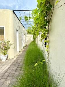 Bright Bali Colonial 3BR Near Padang Padang