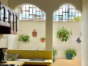 Casa Miss Mercedes, Calle Adelita, ground floor