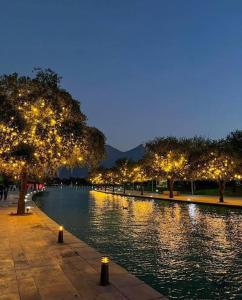 Friducha en Barrio Antiguo Mty