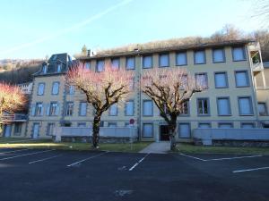 F2 confortable avec wifi et parking privé, proche thermes - FR-1-415-161