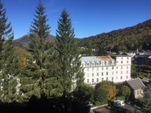F2 avec Parking et Animaux Acceptés au Mont-Dore - FR-1-415-195