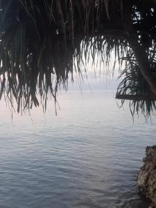 Faith Under Fire Villa