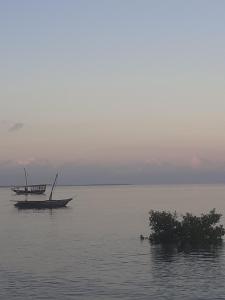 Faith Under Fire Villa