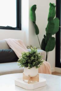 1Bd1Std1Ba Cozy apartment Southbank Wi-fi Spa