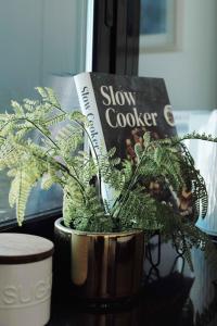 1Bd1Std1Ba Cozy apartment Southbank Wi-fi Spa