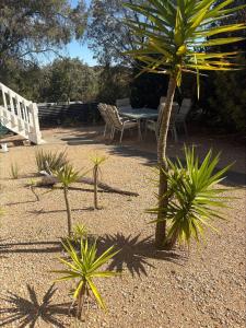 Pine Lea Lodge - Wi-Fi and Pet Friendly