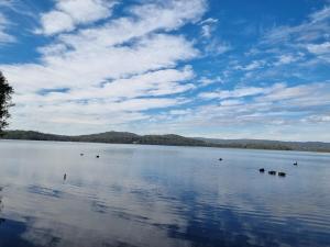 Spacious Coastal Bush Retreat-Close to Everything