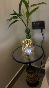 Bohemian Design Studio, North Khobar