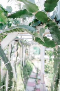 Quiet Guest Studio in Mira Mesa Private Entry Kitchen and Bath Unit 1