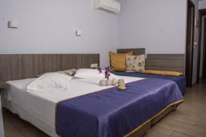 Hotel Olympos Olympos Greece