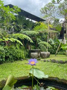 Pondok Indah Homestay