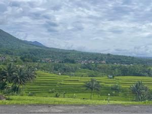 Pondok Indah Homestay