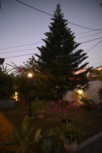 Pinewood Homestay