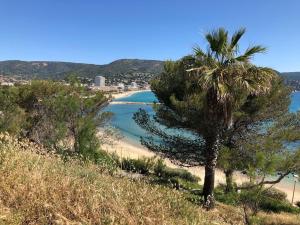 Mazet avec piscine collective