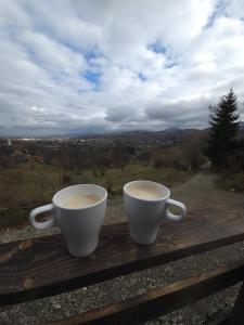 Panoramic View Bran - Apartament