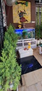 Chandrajyoti Villa 3 Thenew flat with Huge Living room and terrace