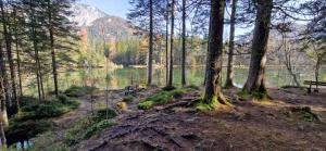 Landhaus Pool and Relax