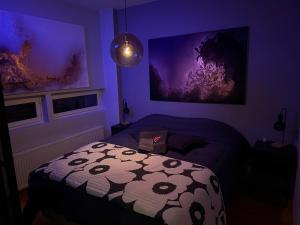 Kraatterin Helmi Suite