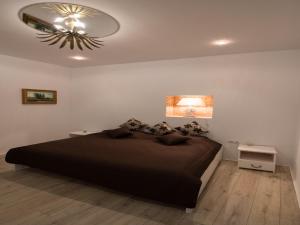Luxury Central apartment in Sibiu
