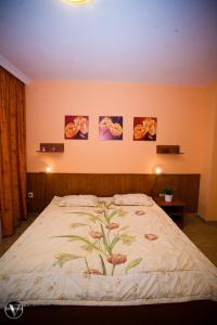 Double or Twin Studio room in Penzion Tara