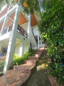 Seaview Studio Jungle