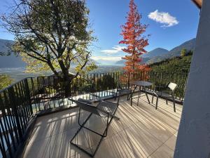 Stein unter Lebenberg NEW 2026