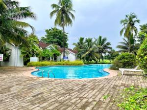Cozy Boho Poolside 1BHK in Siolim Goa