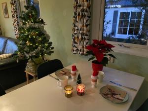 Ruim en modern chalet in de Veluwse bossen