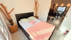 Arc & Peyrou Évasion, Montpellier