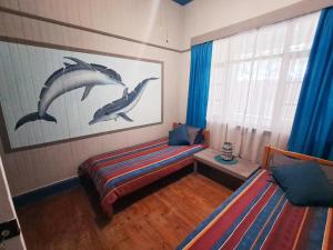 Sea Lions Den Backpackers