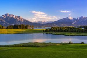 Castle and Alps Appartement