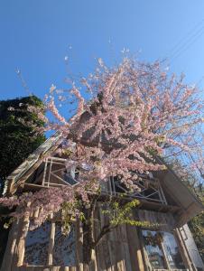 Mochileros Cherry Tree House