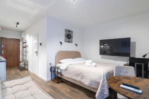 Zygmunta Standard Studio by BookingHost