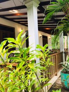 Sunrise Safari House & villa