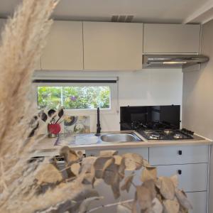 Le Havre de Paix Mobil home a 200m de la Plage Parc Aquatique Camping 5 Etoiles Les Dunes