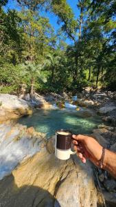 Tapovan Cascades Yogvillage Stay