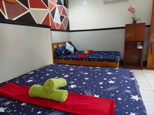 Moalboal Indinos Guesthouse sardines run and sea turtle 1 minute walking distance