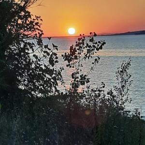 La casa sul lago dorato